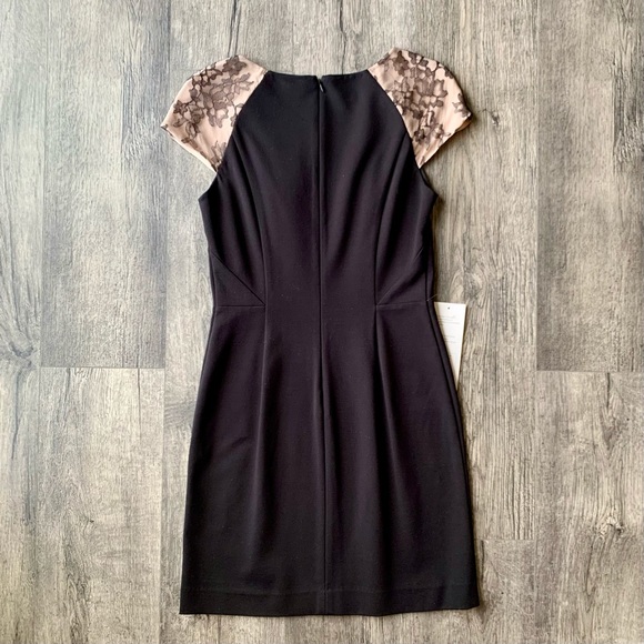 NWT Erin by Erin Fetherston Lace Cap Sleeve Sheath Dress - Picture 11 of 15